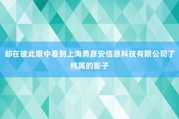却在彼此眼中看到上海勇彦安信息科技有限公司了纯属的影子