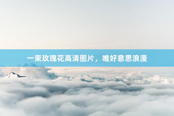 一束玫瑰花高清图片，唯好意思浪漫