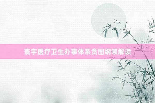寰宇医疗卫生办事体系贪图纲领解读