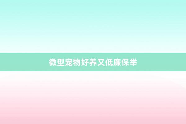 微型宠物好养又低廉保举