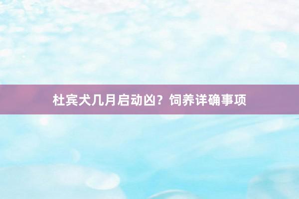杜宾犬几月启动凶？饲养详确事项