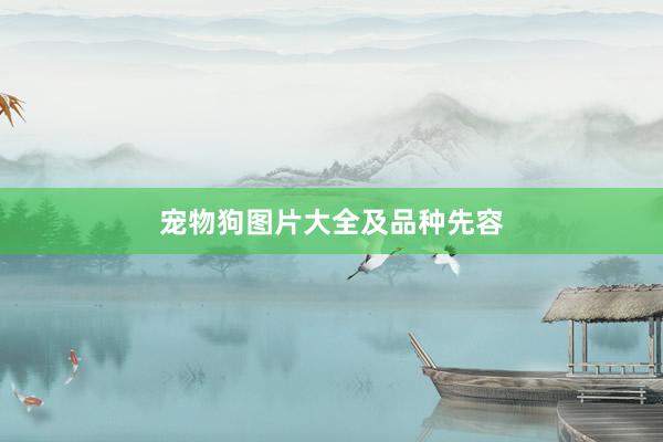宠物狗图片大全及品种先容