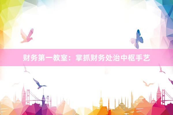 财务第一教室：掌抓财务处治中枢手艺