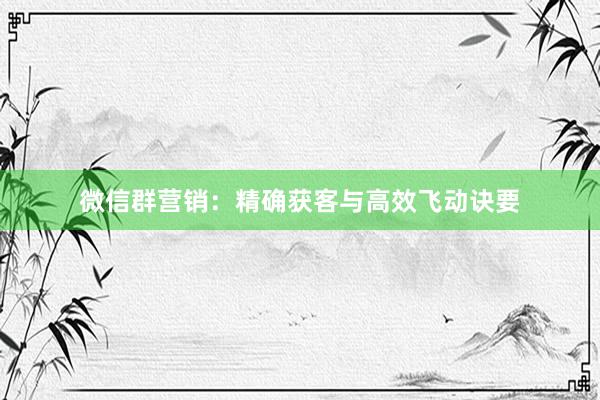 微信群营销：精确获客与高效飞动诀要
